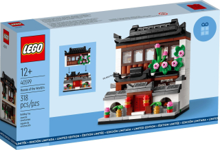 40599 LEGO DOMY SVĚTA 4