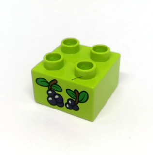 H804 DUPLO HRANÁ KOSTKA S POTISKEM BORŮVKY ZELENÁ