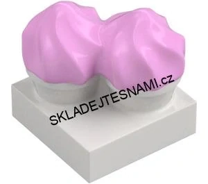 H955 DUPLO HRANÝ DORTÍK DVĚ RŮŽOVÉ ŠLEHAČKY